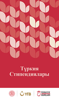 Türkiye Scholarships