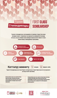 Türkiye Scholarships