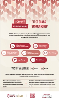 Türkiye Scholarships